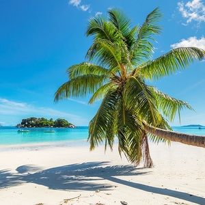 Meet your Posher, Jr